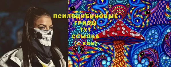 ПСИЛОЦИБИНОВЫЕ ГРИБЫ Волоколамск