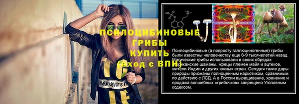ПСИЛОЦИБИНОВЫЕ ГРИБЫ Волоколамск