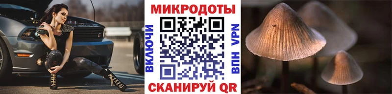 Купить закладки  Ковдор  Псилоцибиновые грибы прущие грибы 